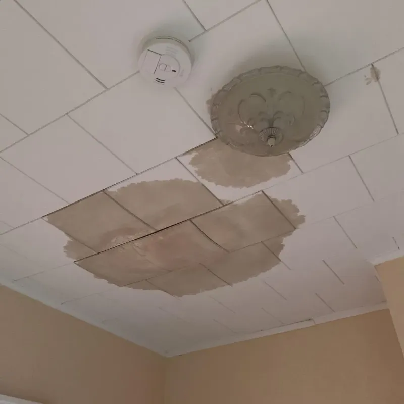 Ceiling Water Damage Repair in Fort Polk South, LA