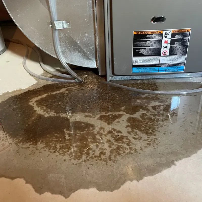 Pipe Burst and Leak Restoration in Fort Polk South, LA